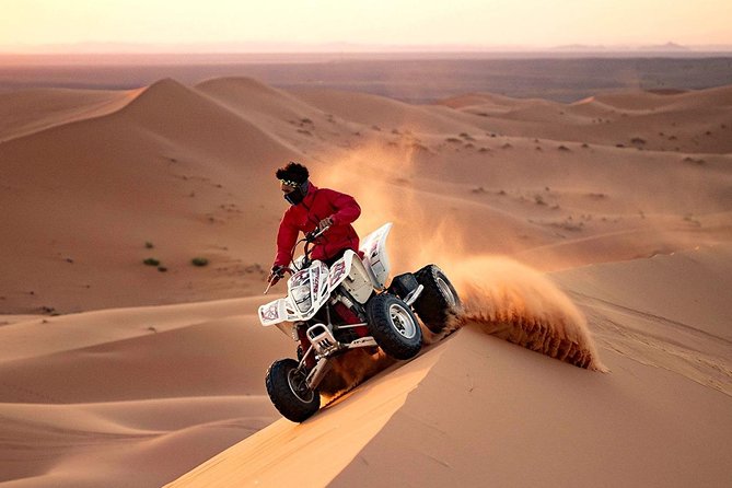 Tripa Tours: Top Travel Agency In Dubai